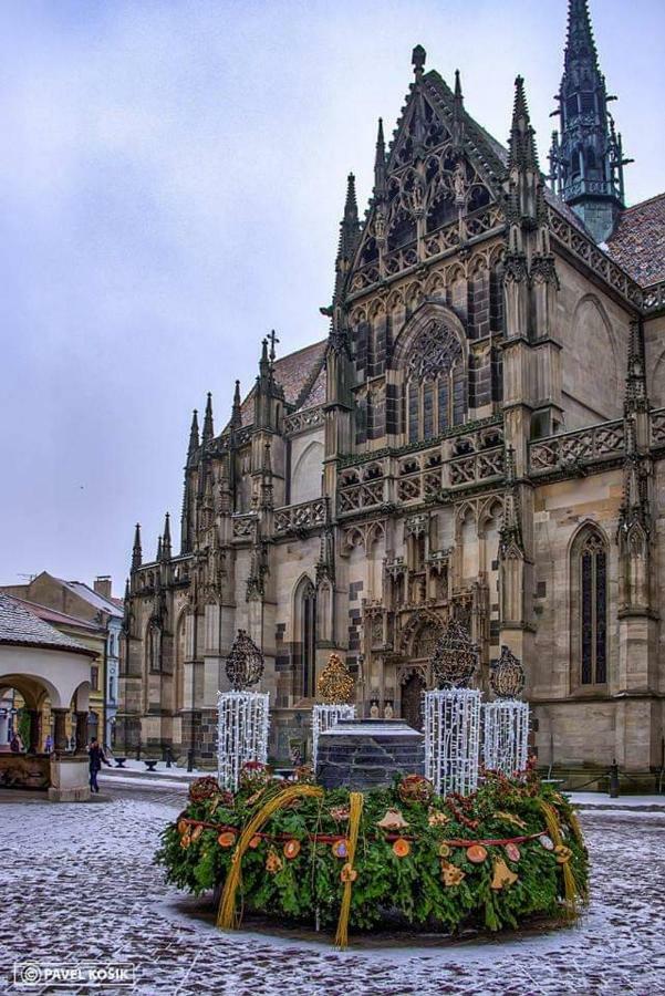 Alzbetina 15 - Dream Apartman Kosice Bagian luar foto